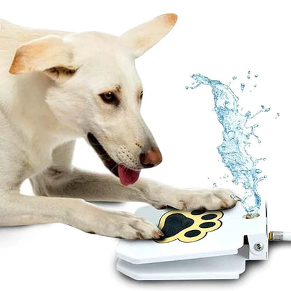 Dog Water Fountain - Pawmate™